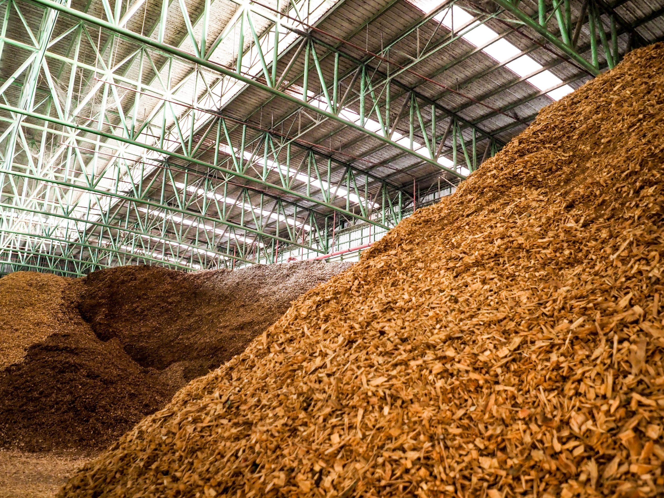A large pile of wood chips is stacked inside a spacious industrial warehouse. The structure features a high ceiling supported by green metal beams, with additional piles of wood chips visible in the background. Natural light filters in through the roof, illuminating the scene