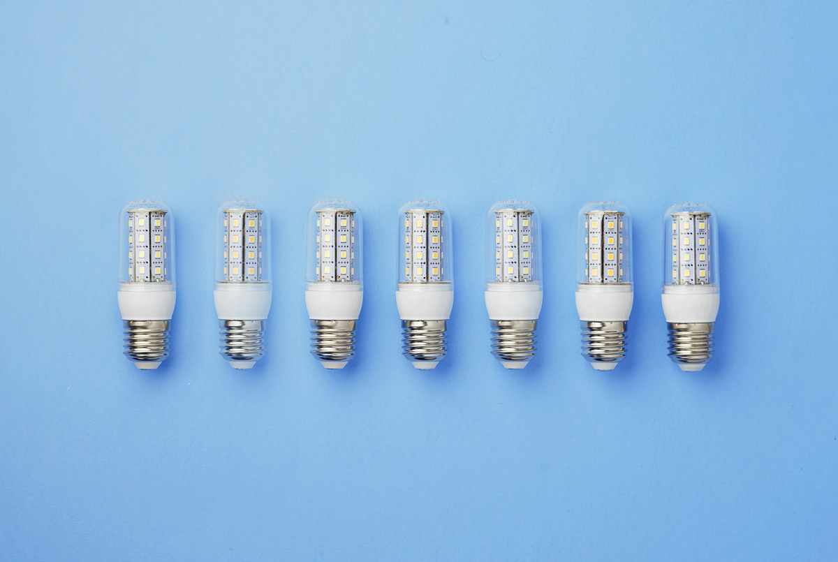 collection-of-light-bulbs-2023-11-27-05-10-05-utc