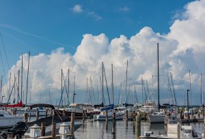 A marina filled with various boats and yachts docked at wooden piers, under a bright blue sky with large, fluffy white clouds. The scene captures multiple sailboat masts rising above the water, creating a picturesque waterfront view