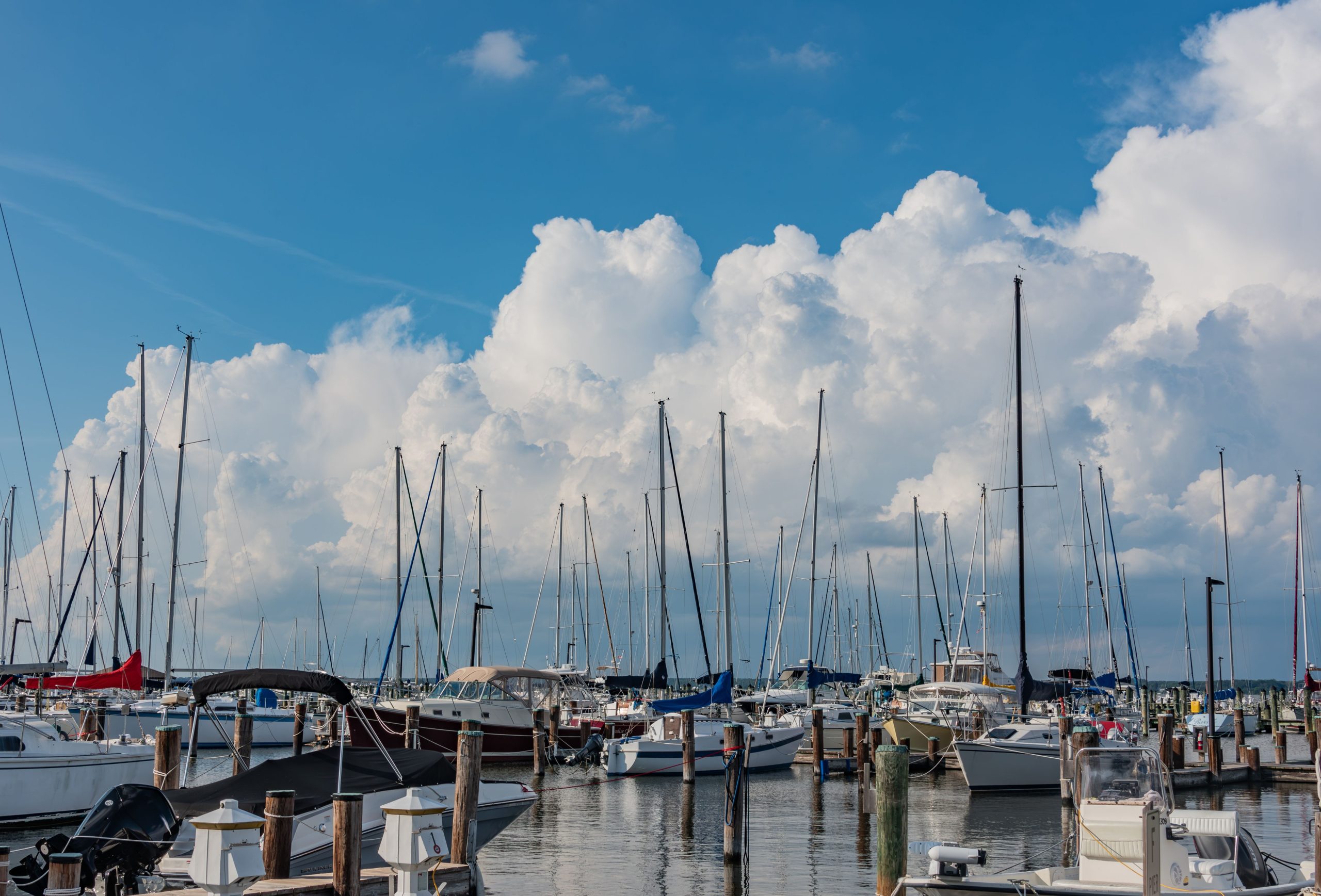 A marina filled with various boats and yachts docked at wooden piers, under a bright blue sky with large, fluffy white clouds. The scene captures multiple sailboat masts rising above the water, creating a picturesque waterfront view