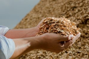 Two hands hold a mound of wood chips, with a large pile of similar wood chips in the background. The setting appears to be outdoors, with a cloudy sky above