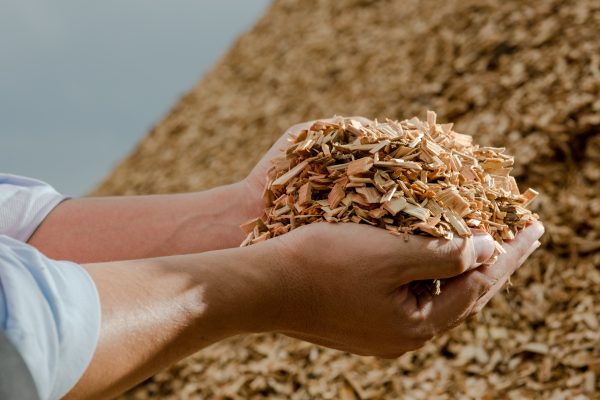 Two hands hold a mound of wood chips, with a large pile of similar wood chips in the background. The setting appears to be outdoors, with a cloudy sky above