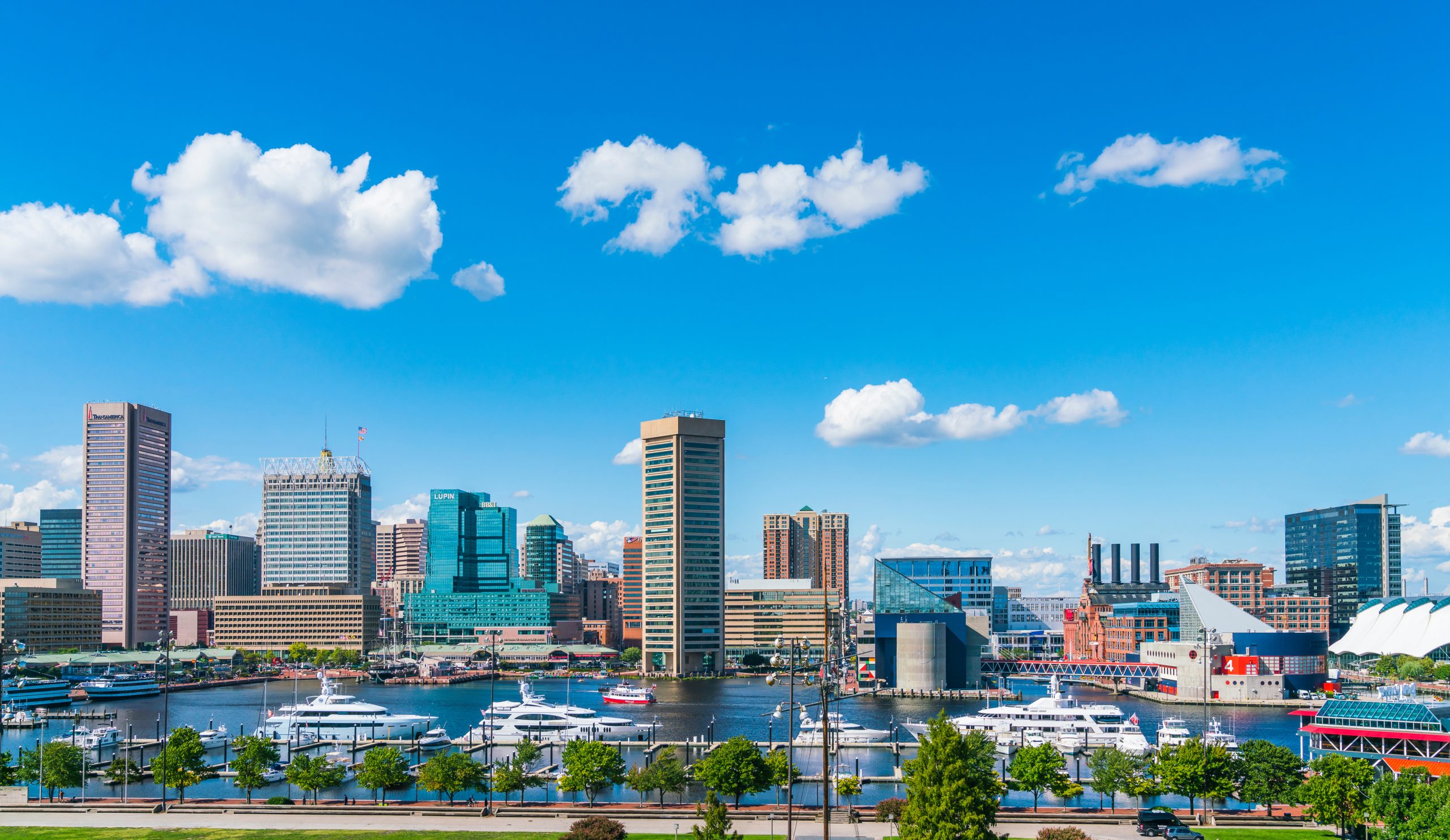 A city skyline featuring a mix of modern skyscrapers and waterfront buildings, with boats docked in a harbor. The scene is set under a clear blue sky with a few clouds, and green trees line the waterfront