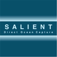 A blue logo featuring the word "SALIENT" in bold white letters, with the phrase "Direct Ocean Capture" in smaller white text below it. The background is a solid blue color, creating a clean and modern appearance
